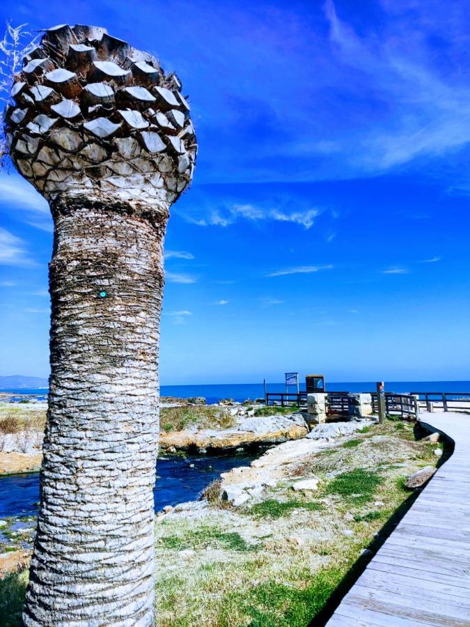 Apartamento Acogedor En Cabanes, Torre La Sal, Costamar I Marina D'Or Venta de San Antonio-Estacion Eksteriør billede