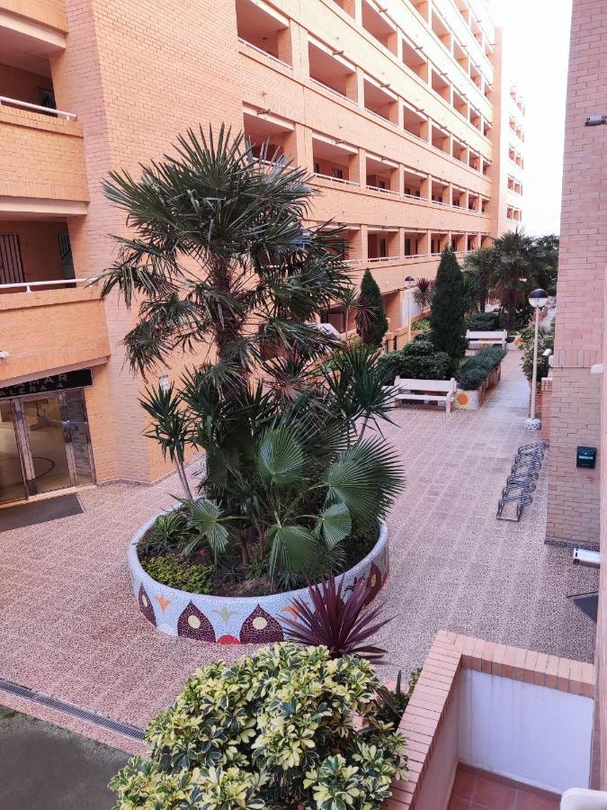 Apartamento Acogedor En Cabanes, Torre La Sal, Costamar I Marina D'Or Venta de San Antonio-Estacion Eksteriør billede