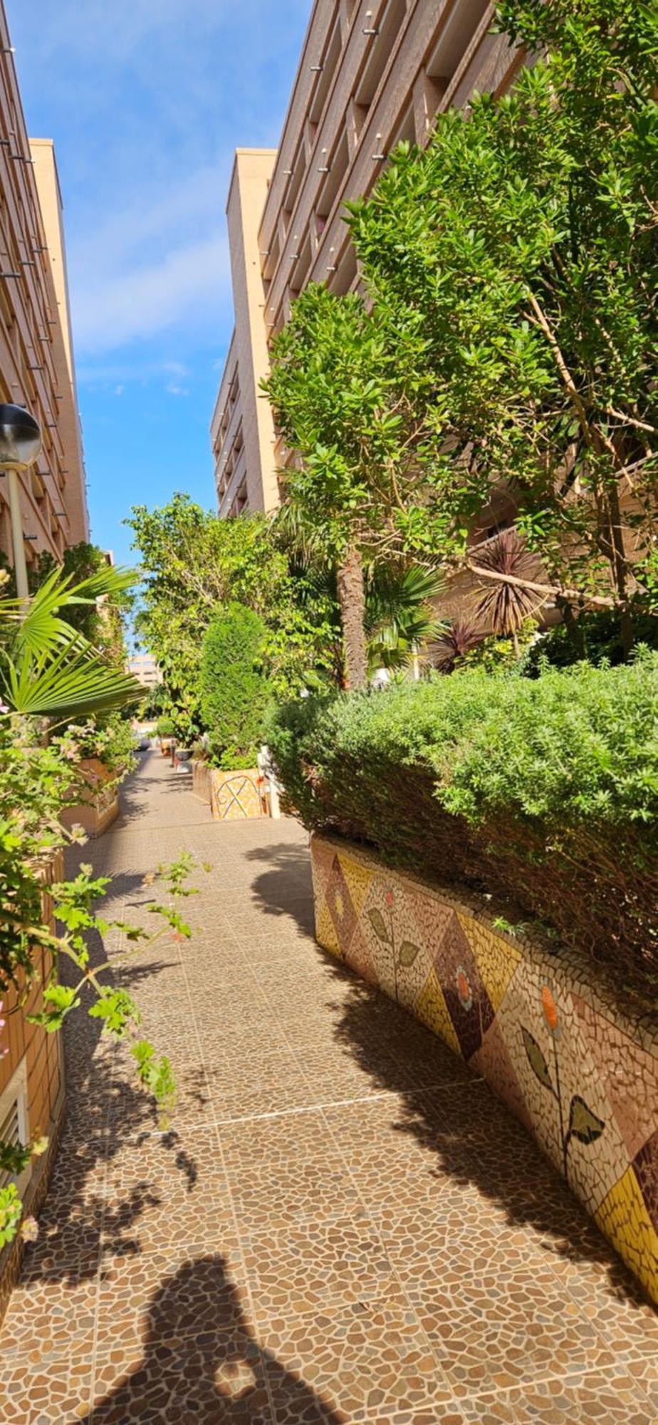 Apartamento Acogedor En Cabanes, Torre La Sal, Costamar I Marina D'Or Venta de San Antonio-Estacion Eksteriør billede